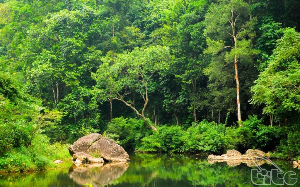 Khe Ro Primitive Forest in Bac Giang province | Vietnamimmigration.com ...