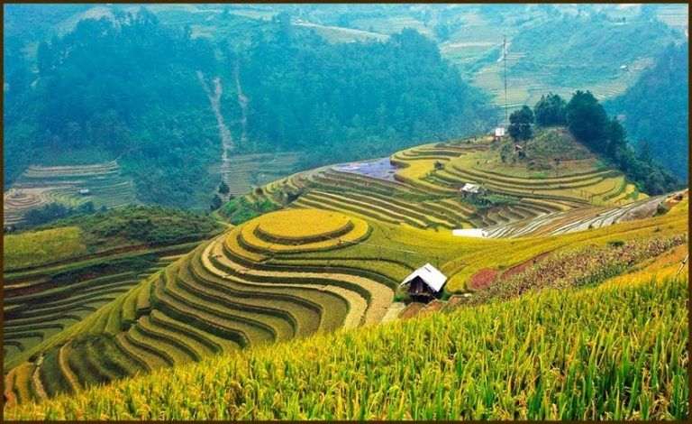 Mu Cang Chai - Great Destination in Northern Vietnam ...